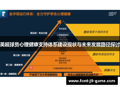 英超球员心理健康支持体系建设现状与未来发展路径探讨