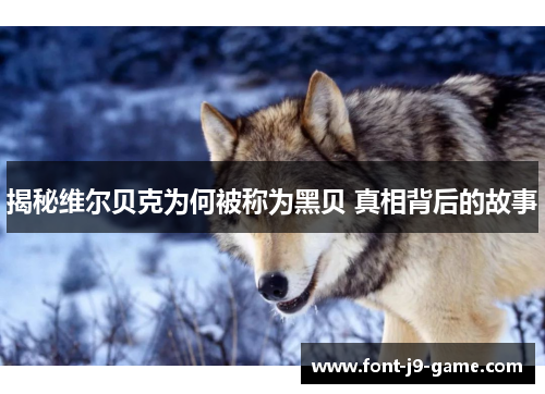 揭秘维尔贝克为何被称为黑贝 真相背后的故事 揭秘维尔贝克为何被称为黑贝 真相背后的故事